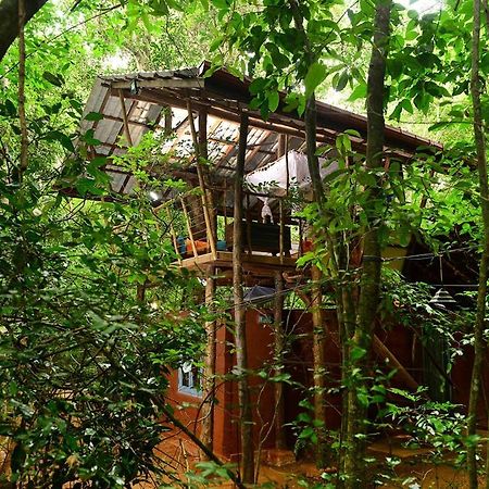 Back Of Beyond - Pidurangala Villa Sigiriya Exteriör bild